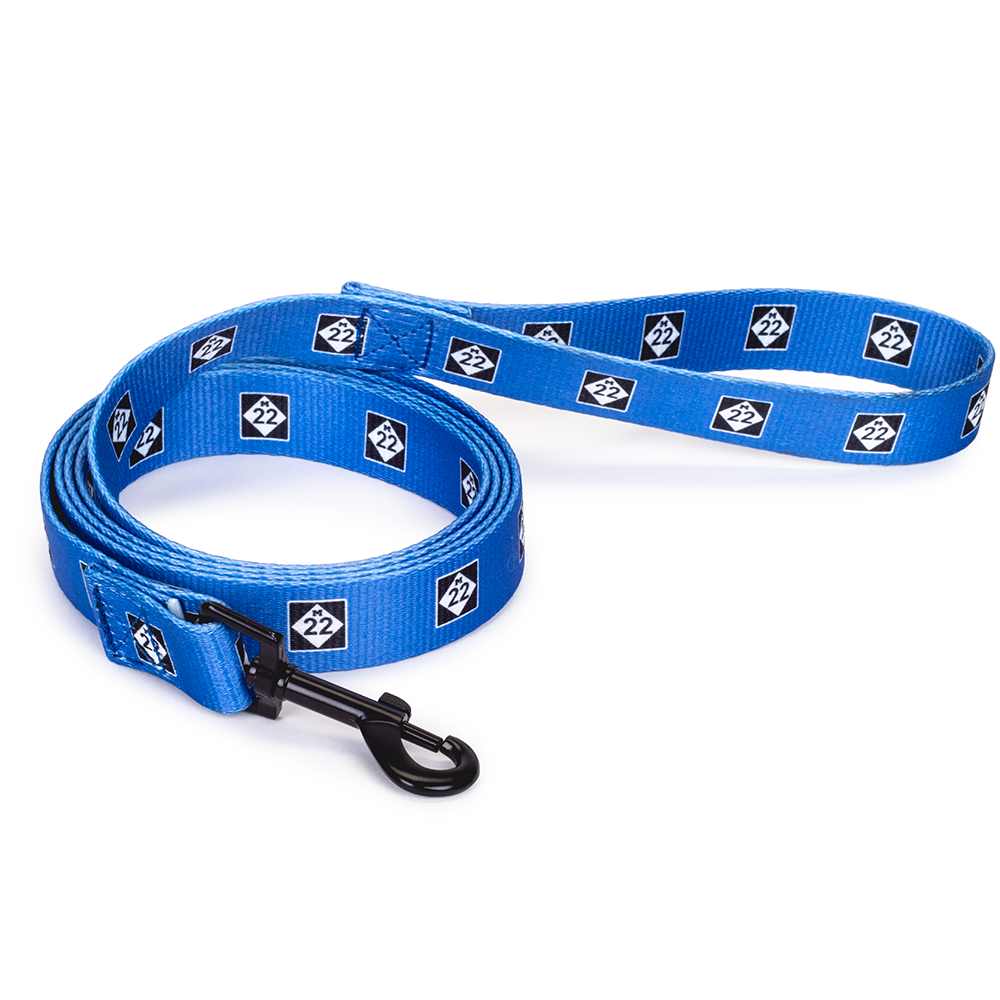 M22 DOG LEASH